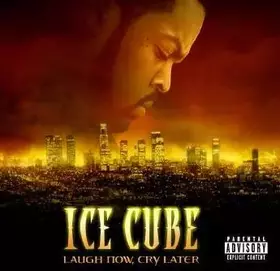 Couverture du produit · Laugh Now, Cry Later