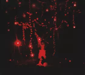 Couverture du produit · The Danger Of  Light