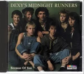 Couverture du produit · Because of You [Import]