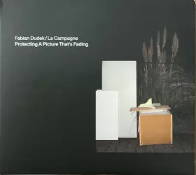 Couverture du produit · Protecting A Picture That's Fading