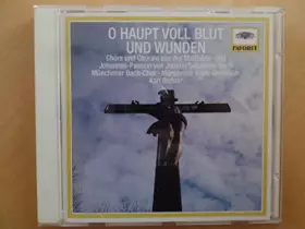Couverture du produit · O Haupt VOLL Blut U.Wunden [Import]