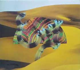 Couverture du produit · Django Django