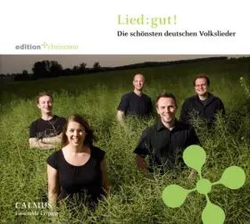 Couverture du produit · Lied:gut! (Die Schönsten Deutschen Volkslieder)