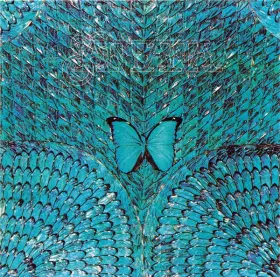 Couverture du produit · Borboletta