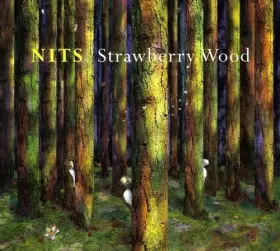 Couverture du produit · Strawberry Wood by Nits