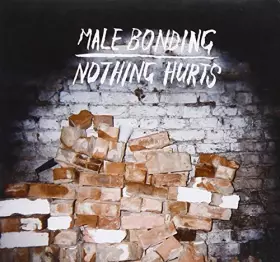 Couverture du produit · Nothing Hurts by Male Bonding (2010-05-11)