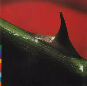 Couverture du produit · Night Song