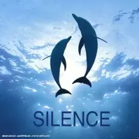 Couverture du produit · Silence 2004