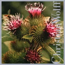 Couverture du produit · Burdocks