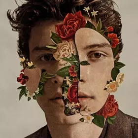 Couverture du produit · Shawn Mendes