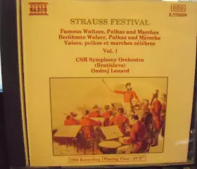 Couverture du produit · Strauss Festival, Vol. 1
