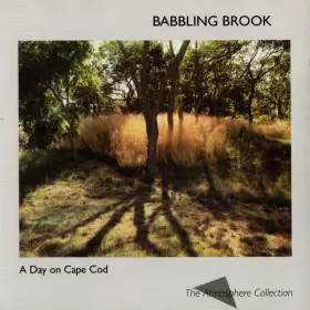 Couverture du produit · A Day On Cape Cod: Babbling Brook