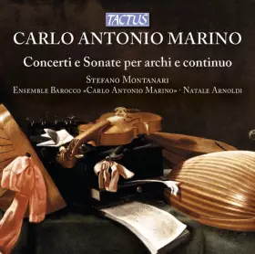 Couverture du produit · Concerti E Sonate Per Archi E Continuo