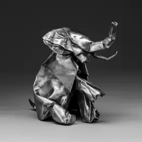 Couverture du produit · Black Origami