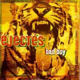 Couverture du produit · Bad Boy