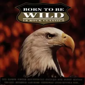 Couverture du produit · Born To Be Wild (18 Rock Classics)