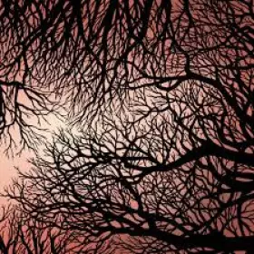 Couverture du produit · Zimpel / Ziołek