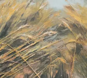 Couverture du produit · New Year's Wish