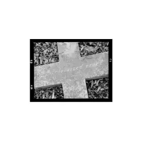 Couverture du produit · Perfect Peace