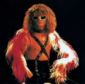 Couverture du produit · Michel Polnareff