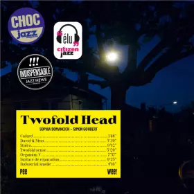 Couverture du produit · Twofold Head