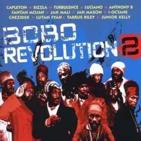Couverture du produit · Bobo Revolution 2
