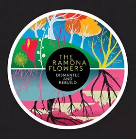 Couverture du produit · Dismantle And Rebuild