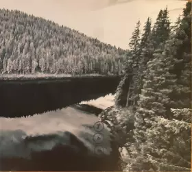 Couverture du produit · Tău