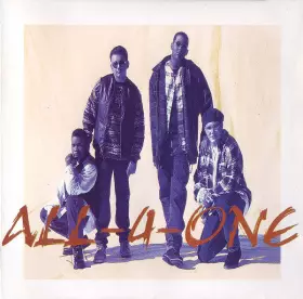 Couverture du produit · All-4-One