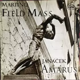 Couverture du produit · Field Mass / Amarus