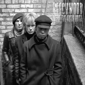 Couverture du produit · Inside the Flesh Hotel