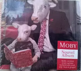 Couverture du produit · Everything Was Beautiful And Nothing Hurt