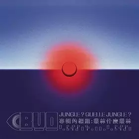 Couverture du produit · Jungle ? Quelle Jungle ?