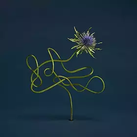 Couverture du produit · Le Mirage de Zo