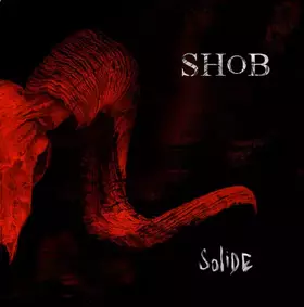 Couverture du produit · Solide