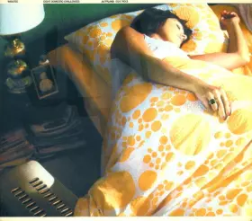 Couverture du produit · Eight Domestic Challenges