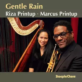 Couverture du produit · Gentle Rain