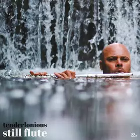 Couverture du produit · Still Flute