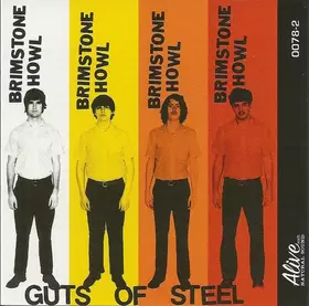 Couverture du produit · Guts Of Steel
