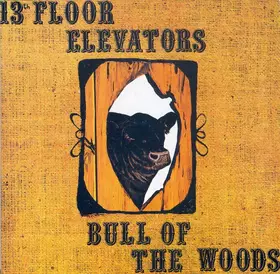 Couverture du produit · Bull Of The Woods