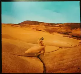 Couverture du produit · Strays