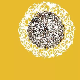 Couverture du produit · Lovers Prayers