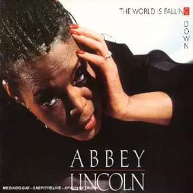 Couverture du produit · The World is Falling Down