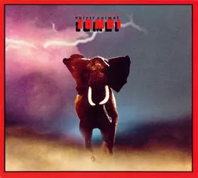 Couverture du produit · Spirit Animal