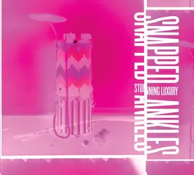 Couverture du produit · Stunning Luxury