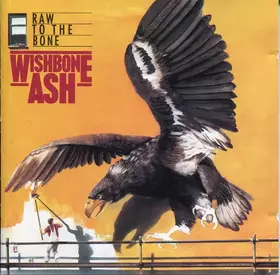 Couverture du produit · Raw To The Bone