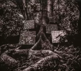 Couverture du produit · Harmony Of Difference