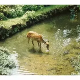 Couverture du produit · 若葉