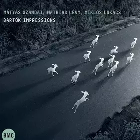 Couverture du produit · Bartók Impressions