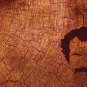 Couverture du produit · Brassens Au Bois De Mon Coeur